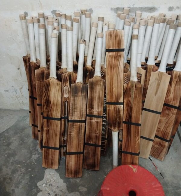 Kashmir Willow Cricket Bat